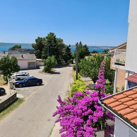 Maslenica-bougainvillea Daire *