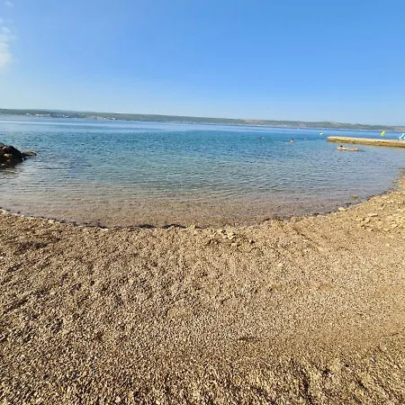 Maslenica-bougainvillea Масленица