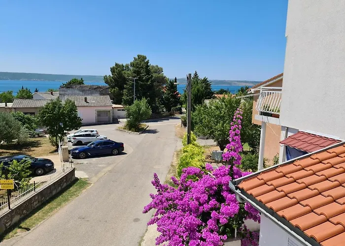 Maslenica-bougainvillea Daire *
