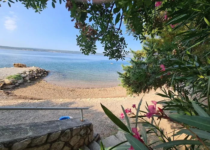 Maslenica-bougainvillea Daire Maslenica