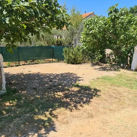 Maslenica-bougainvillea * Maslenica