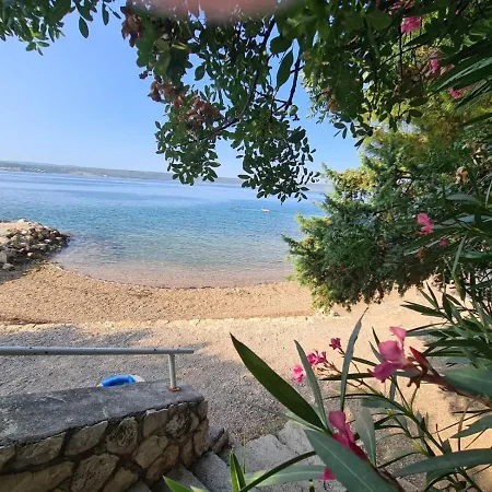 Maslenica-bougainvillea 公寓 马斯莱尼察