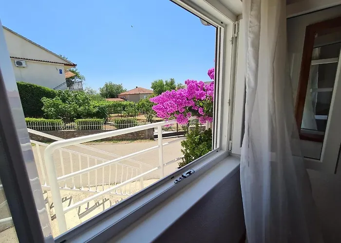 Apartman Maslenica-bougainvillea Maslenica